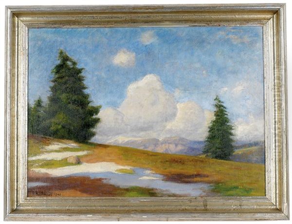 Vorfruhling Auf Der Alm - view 1