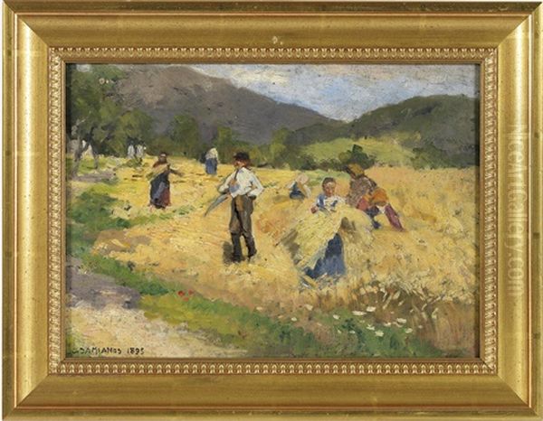 Sommerarbeit Auf Dem Feld - view 1