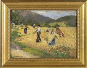 Sommerarbeit Auf Dem Feld Sommerarbeit Auf Dem Feld