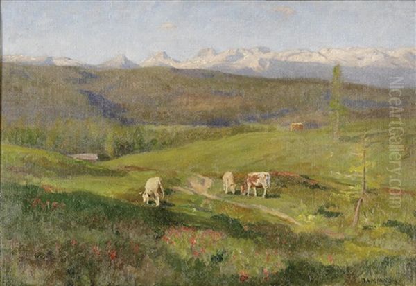Almlandschaft Mit Weidenden Kuhen - view 1
