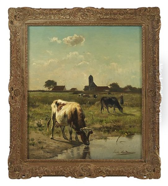 Cattle Grazing In The Fields - view 1