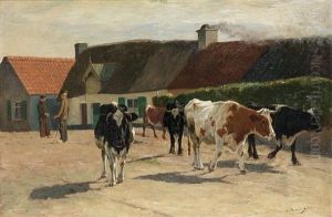 Vaches Flamandes Vaches Flamandes