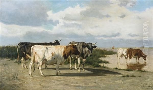 Des Vaches Pres D'un Lac - view 1