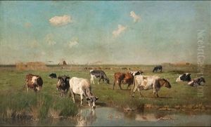 Polder Pres A L"escaut, (pays De Waes)