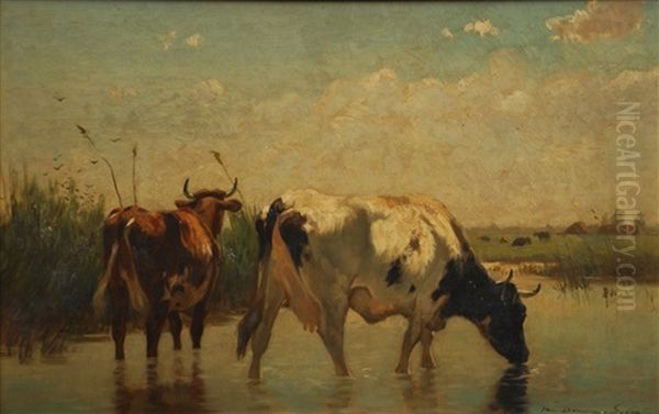 Vaches A L'abreuvoir - view 1