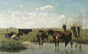 Vaches A L'abreuvoir Dans Un Paysage De Polder