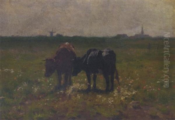 Cows In Pasture, A Windmill Beyond - view 1