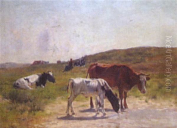 Cows Grazing In A Country Landscape - view 1