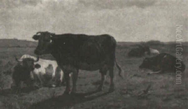 Cows In The Meadow - view 1