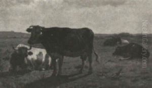 Cows In The Meadow Cows In The Meadow