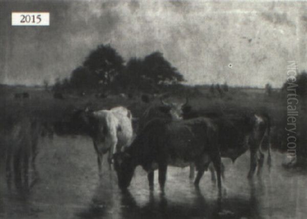 Cattle Watering - view 1