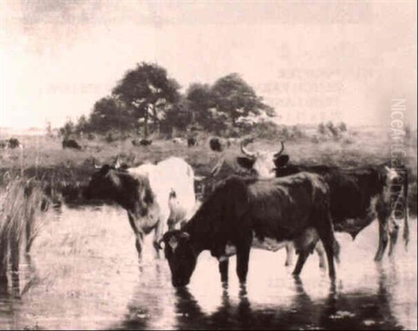 Cattle Watering - view 1