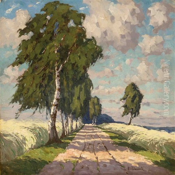 Sonnige Birkenallee - view 1