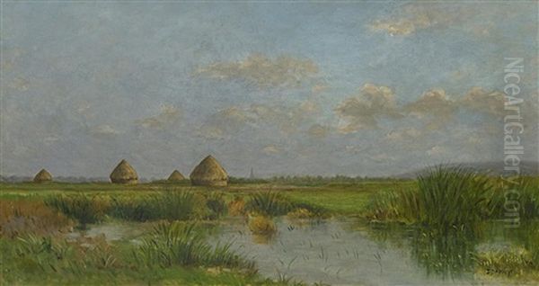 Felderlandschaft Mit Heumieten - view 1