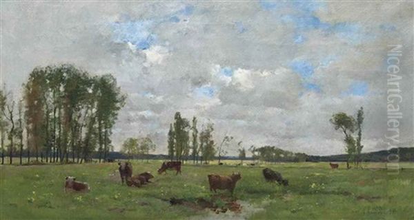 Cattle Grazing - view 1