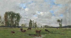 Cattle Grazing