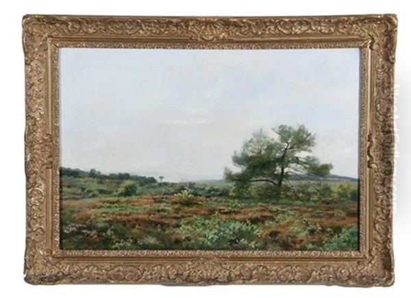 Paysage D'ete - view 1