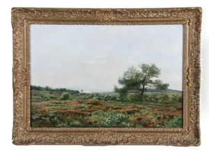 Paysage D'ete