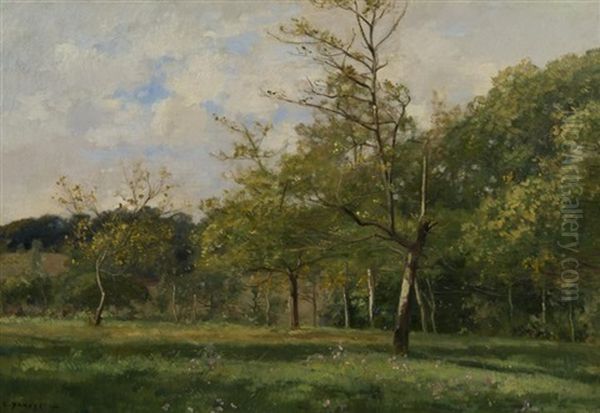 Summer Landscape With Trees - view 1