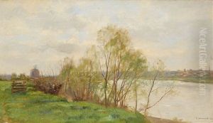 Trees By A Riverbank Trees By A Riverbank