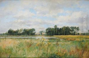 Paysage A L'etang Paysage A L'etang