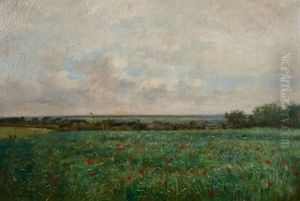 Le Champ Aux Coquelicots
