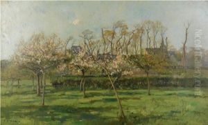 Landscape Landscape