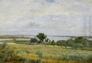 Seelandschaft Mit Wiese Und Baume Seelandschaft Mit Wiese Und Baume
