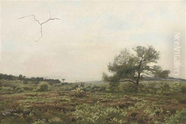 Paysage - view 1