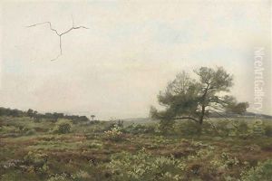 Paysage Paysage