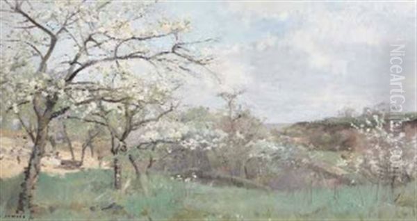 Paysage En Fleurs - view 1