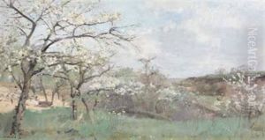 Paysage En Fleurs Paysage En Fleurs