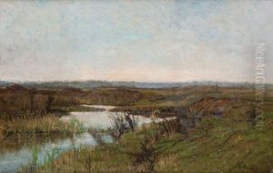 Paysage Paysage