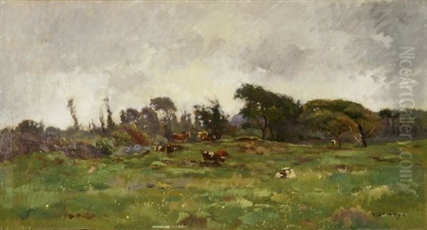 Weite Landschaft Mit Weidenden Kuhen - view 1