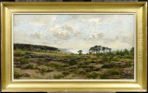 Moorlandschaft - view 1
