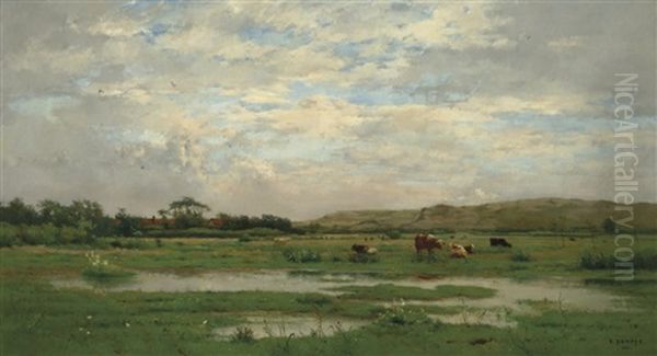 Prairies Inondees, Pas De Calais - view 1