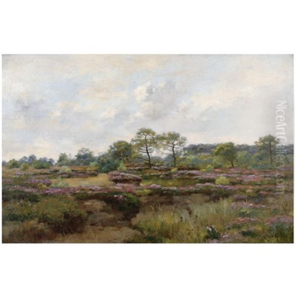 Heather Landscape - view 1
