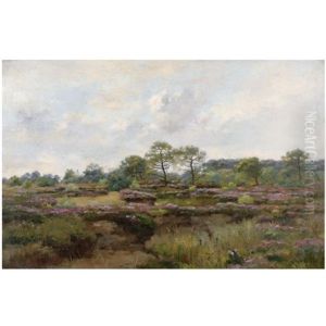 Heather Landscape Heather Landscape