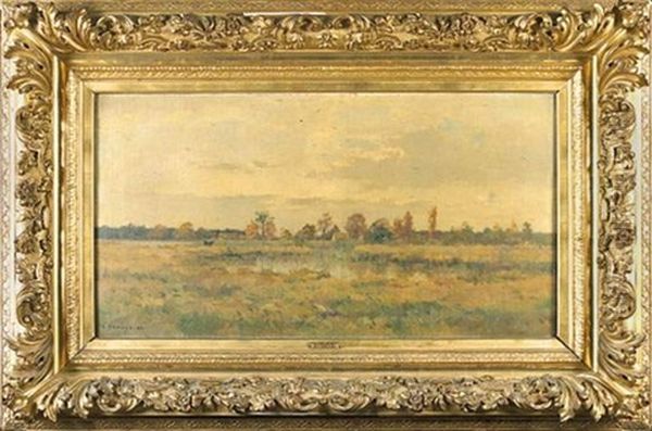 Paysage - view 1