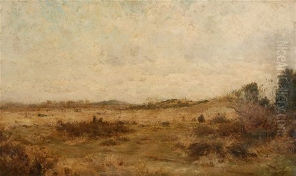 Weite Landschaft - view 1