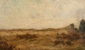 Weite Landschaft Weite Landschaft
