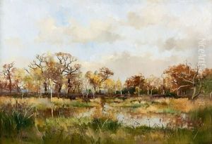Marais En Sologne