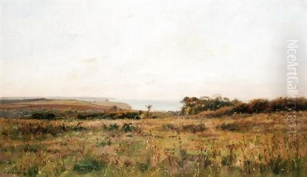 Field In Bloom By The Sea - view 1