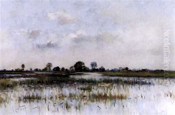 Sumpflandschaft - view 1
