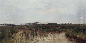 Paysage De Marais