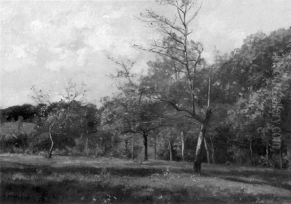 Open Fields - view 1