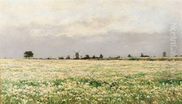 Landscape With Windmill - view 1