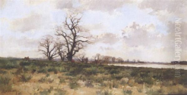 River Landscape - view 1