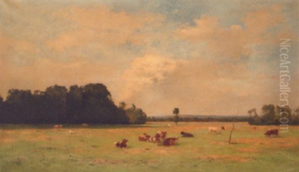 Cattle In A Summer Meadow - view 1