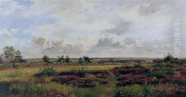 Paysage - view 1